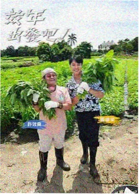 声音博物馆 音乐综艺中文字幕